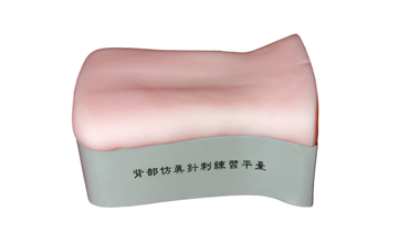 中医背部仿真针刺练习平台QZ/ZT10 